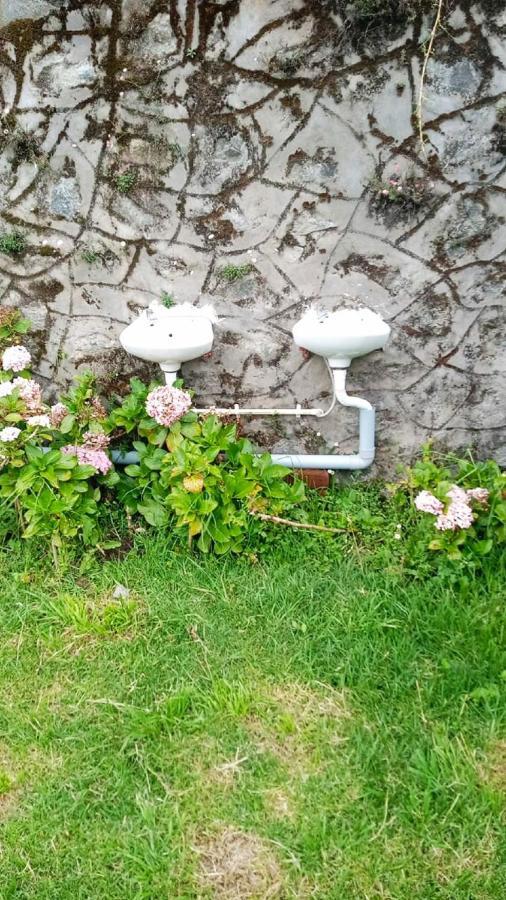 ホテル Status Hillpark コダイカナル エクステリア 写真